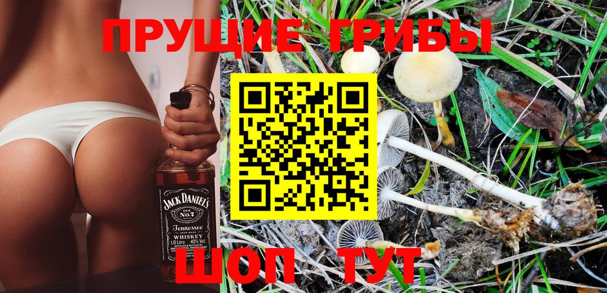 Галлюциногенные грибы Psilocybe  Вход с VPN  Партизанск 
